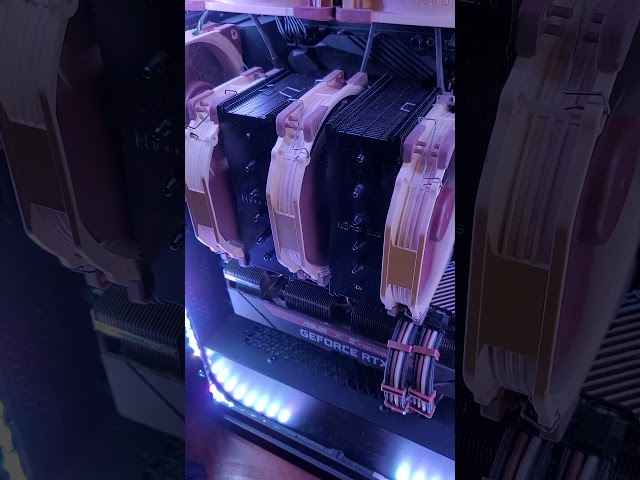 Noctua Fans Rabbit Hole