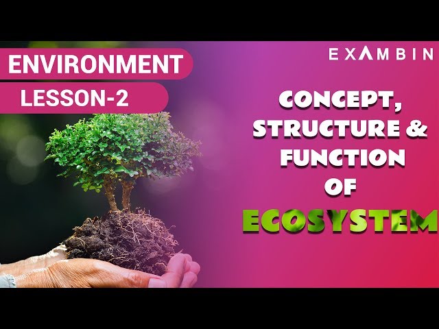 Concept of Ecosystem upsc,  Abiotic and Biotic factors, Crash Course ecology