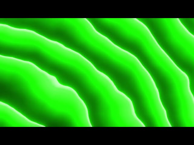 4K Green Wavy Lines Animation | Free Royalty-Free Video Background