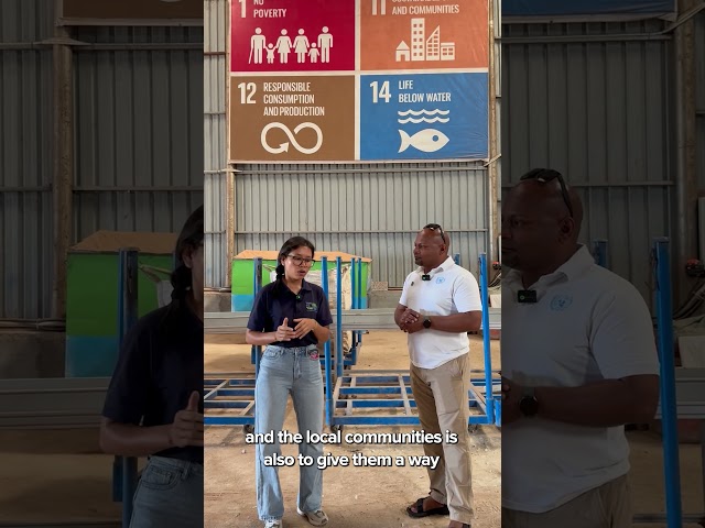 Plastic waste management  | UNDP and TONTOTON partnership | Eng Version