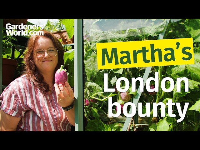 Inside Martha Swales' THRIVING London food forest