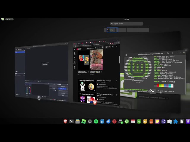 kid tries to delete its linux mint system