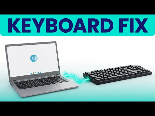 How to Use a Windows Keyboard with a Chromebook (Easy Fix)