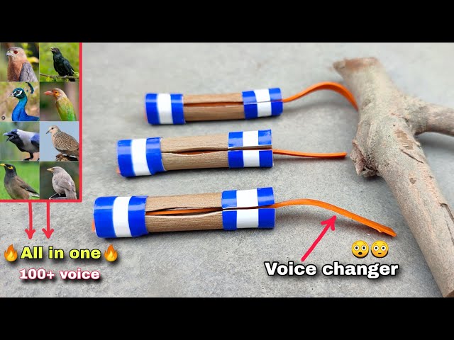 🔥Creative bird whistle🔥😲 that makes hundreds of bird sounds | How to make a bird whistle | 2025