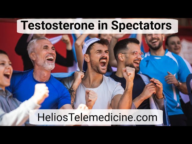 Spectators and Testosterone