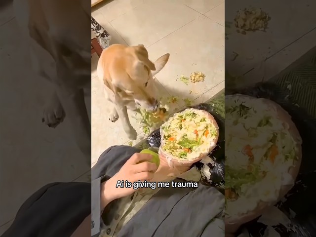 Dangerous Dog in the world #shots #shortvideo #prank #comedy #funny