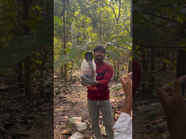 wildlife 🫰🙏😇🫶🐍