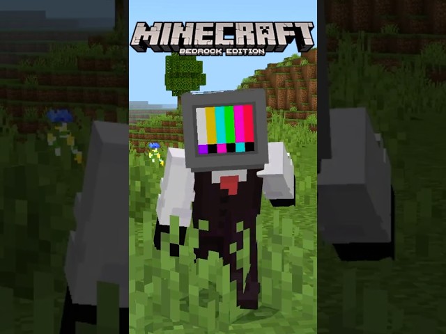 Java vs. Bedrock Differences 🔥(Part 3)