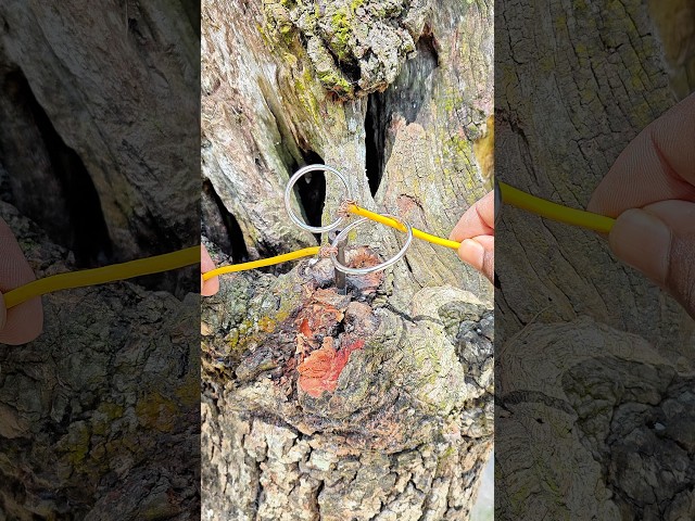 Amazing DIY Rope Trick You Need to See ✅🙏 #shorts #lifehacks #viral