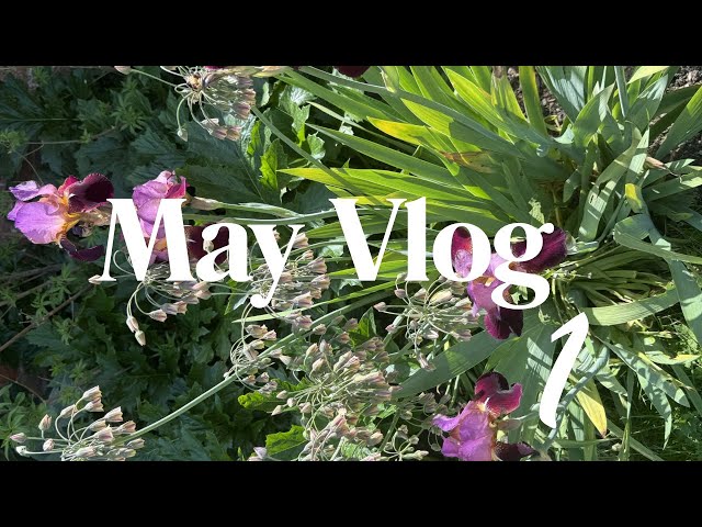 May Vlog 1 | Caravan Getaway, Crochet Projects, Finished WIP & Sunny Days 🌸🧶 no