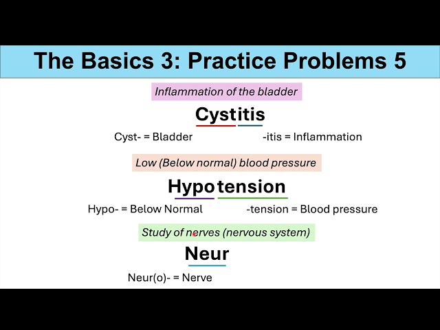 Medical Terminology – The Basics – Lesson 1 & 2 | Practice Problems Set 3