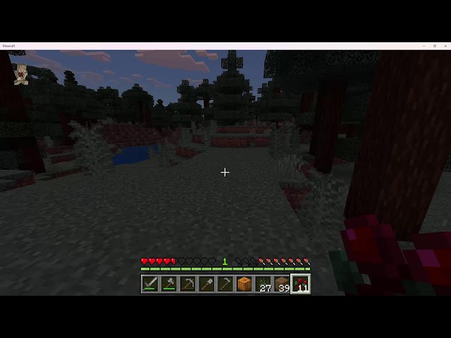 Chastity's Stream 2-14-2024