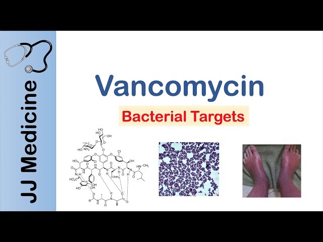 Vancomycin | Bacterial Targets, Mechanism of Action, Adverse Effects