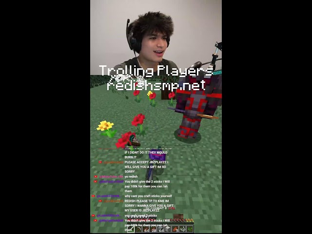 RedishSMP - Can I survive One hour of TPA requests? (Portrait)