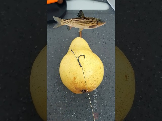 How to Hook a Pear for Big Carp! (Secret Trick) 🍐 #shorts