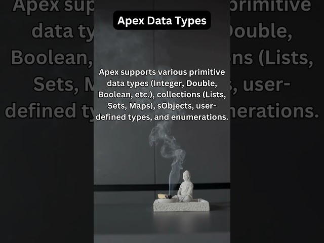 Apex Data Types