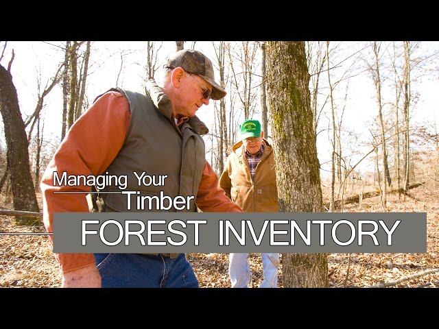 Managing Your Timber - FOREST INVENTORY