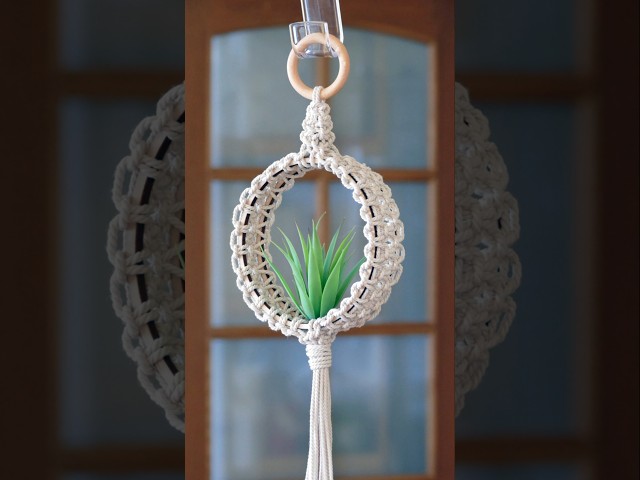 DIY Circle Plant Hanger EASY #macrame #planthanger