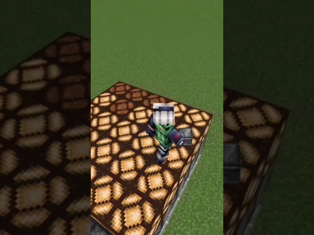 Dance Floor in MINECRAFT!