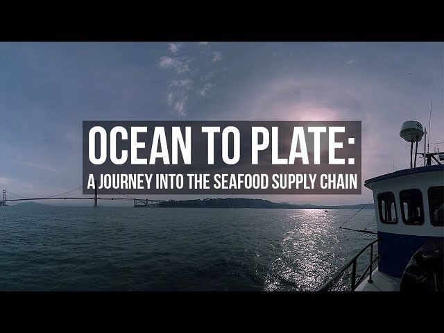 Ocean to Plate: A Journey into the Seafood Supply Chain