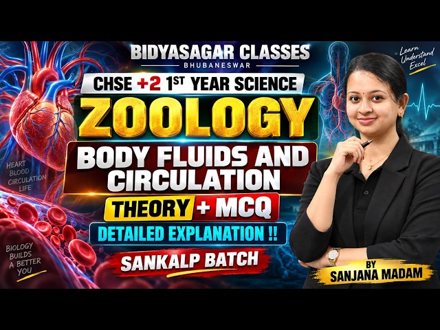 CHSE +2 1ST YEAR ZOOLOGY 🔥 BODY FLUIDS & CIRCULATION | THEORY + MCQ | SANKALP BATCH | SANJANA MADAM