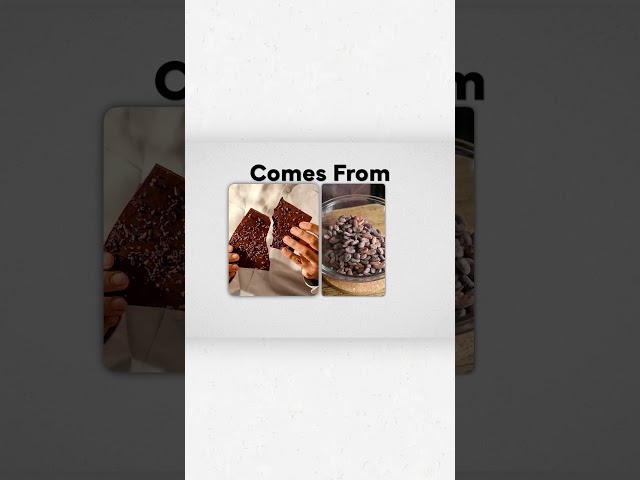 Every Chocolate Explained - Dark Chocolate