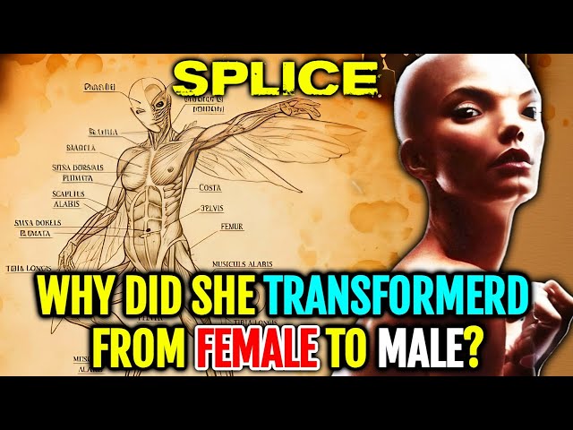 Dren From Splice Anatomy – Why Did Her Body Changed From Female To Male?