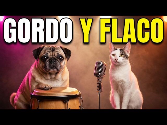 'Gordo y Flaco.' A song about a Dog & Cat. #salsa #merengue #cumbia #music #realmusic #aimusic #suno