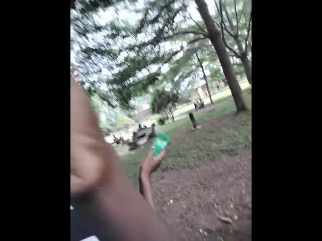 Zoological Garden, Ibadan