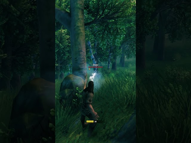 Are you the Hunter or the Gardener? #shorts #valheim