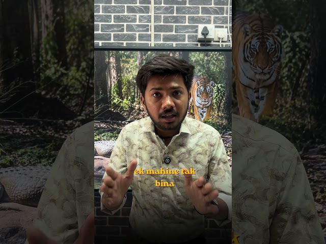 Crocodile vs Tiger ? Who Survives Longer? | Cold vs Warm Blooded #shorts