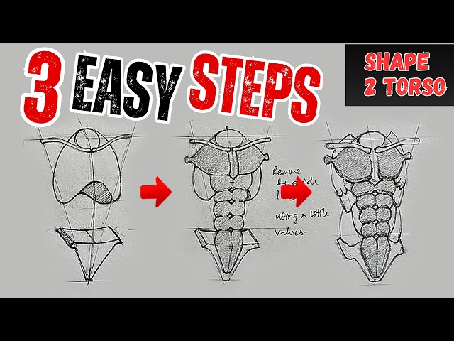 Struggling to Draw the Torso? Try This Simple 3-Step Method!