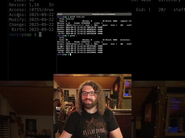 Linux filesystems - file types and timestamps