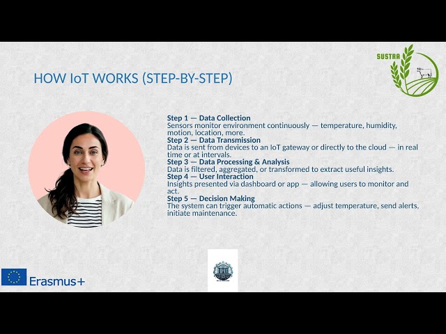 M4_Lesson 8 How does the blockchain and Internet of Things IoT work
