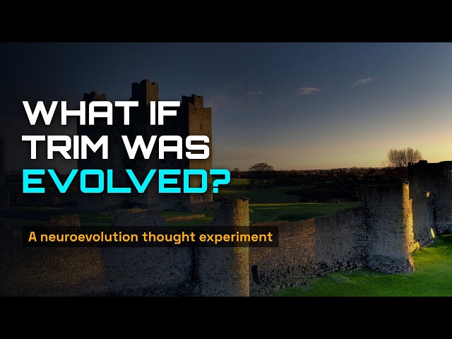 What If a Town Was Evolved? Trim, Co. Meath × the Krittr Neuroevolution Idea