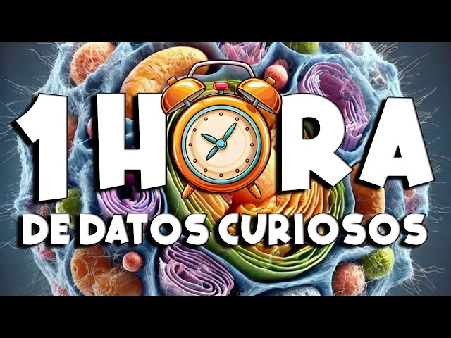 1 HOUR of non-stop FUN FACTS and THINGS YOU DIDN'T KNOW! ⏰😲1278