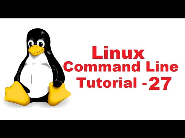 Linux Command Line Tutorial For Beginners 27 -  watch command