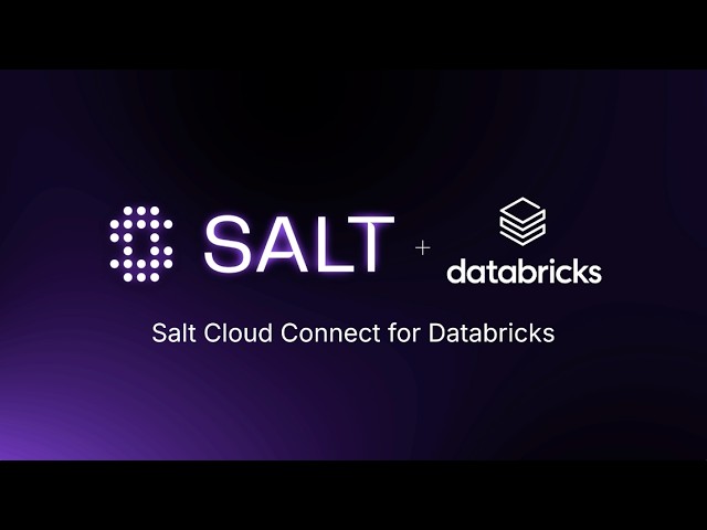 Salt Cloud Connect for Databricks