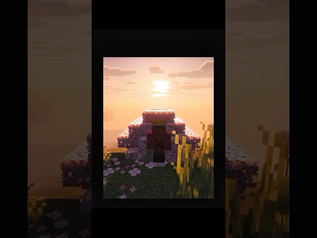 BEUTY OF MINECRAFT ❤️#shorts#trendingshorts#viralshorts