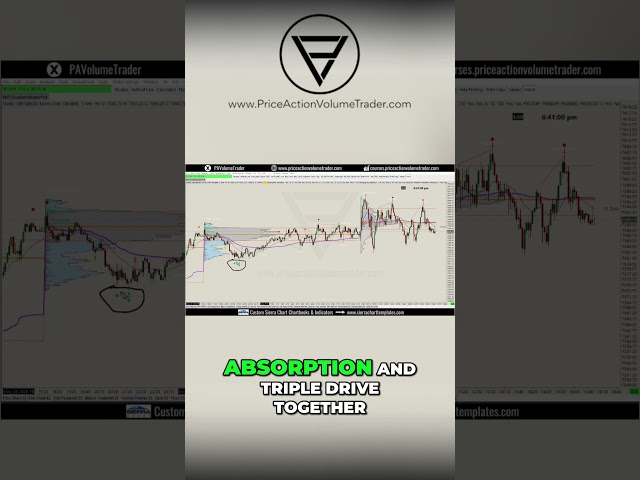 Sierra Chart Indicator Bundle Highlights