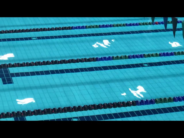 Compression wave in a pool