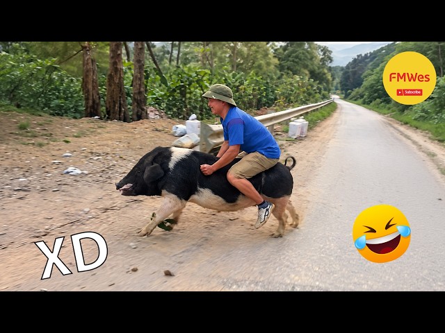 Funny Videos 🤣 If You Laugh You Lose GOD LEVEL #853 😎 Mexican Viral Humor 🤣