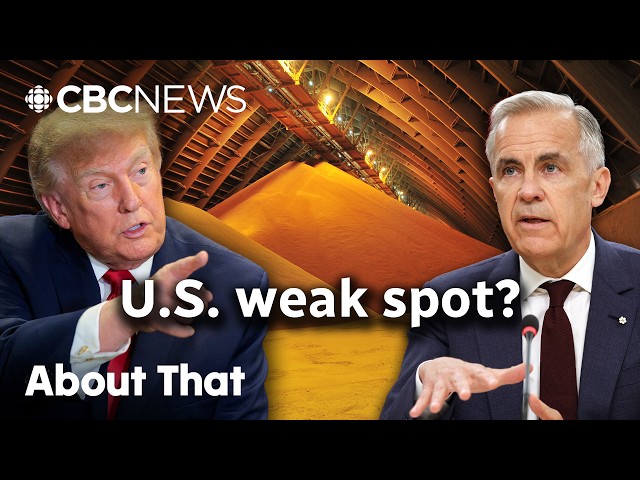 Why Trump’s potash threat against Canada isn’t as bizarre as it sounds | About That