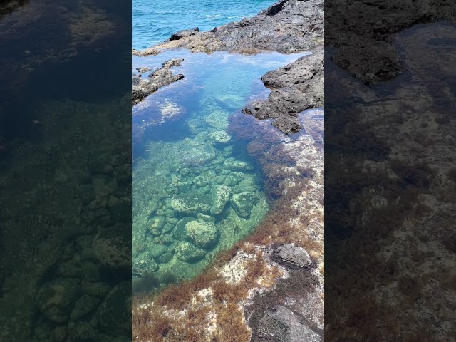 Incredible Blue Ocean
