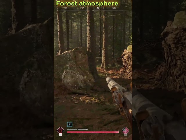 HUNGER Forest Armosphere