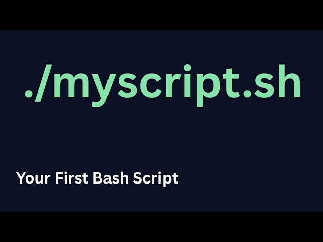 Bash Tutorial for Beginners #1: Create & Run Your First Bash Script