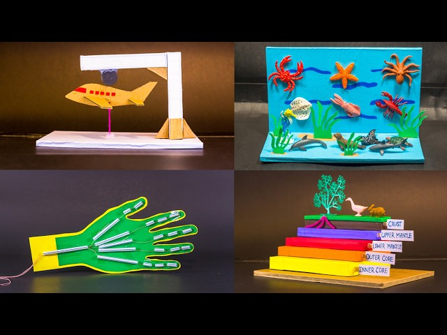 6th Grade Science Projects