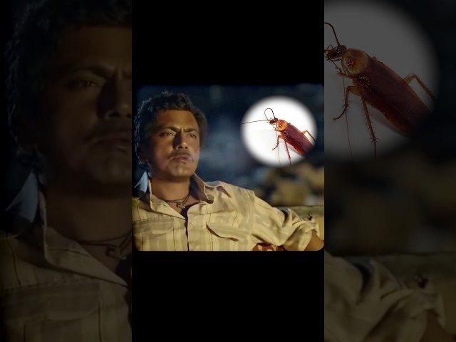Cockroach marte kyon nahi 🙄 #science #ayushkaari