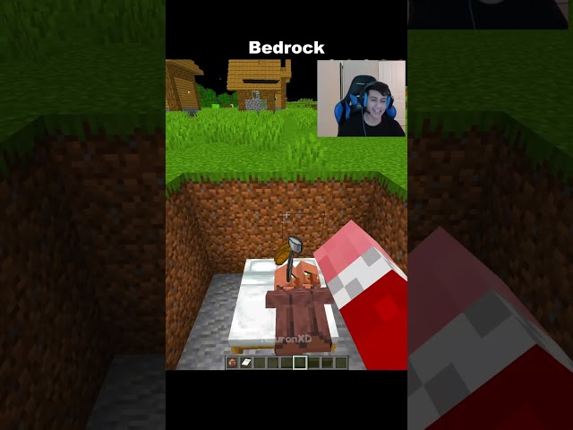 Minecraft Java Vs Bedrock!