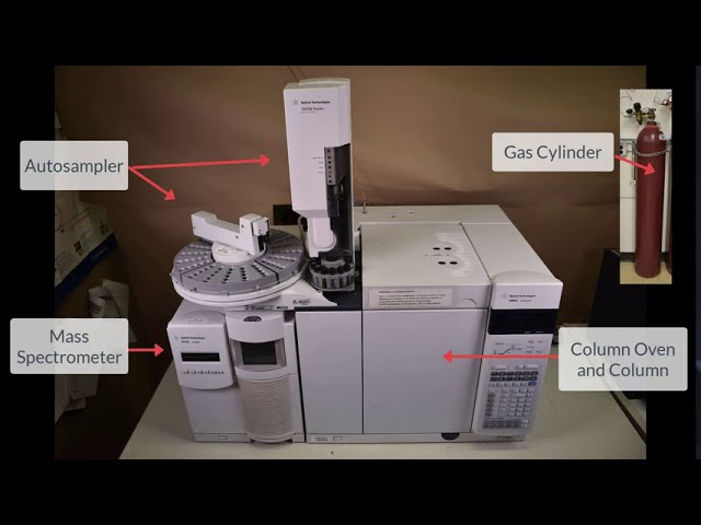 Gas chromatography mass spectrometry